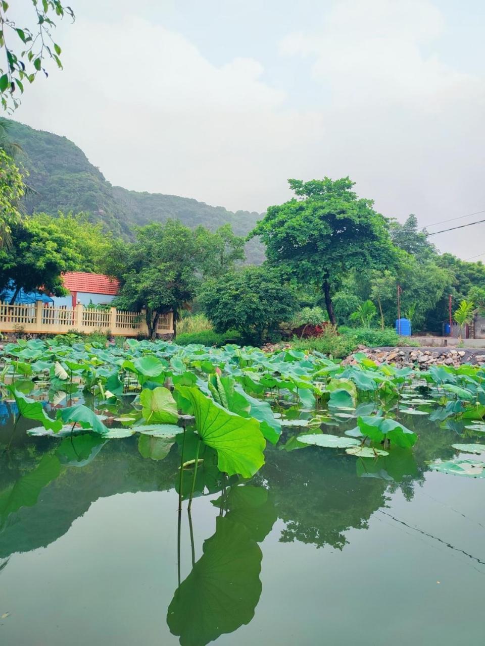 Trang An Natural Mountainside Homestay Ниньбинь Экстерьер фото