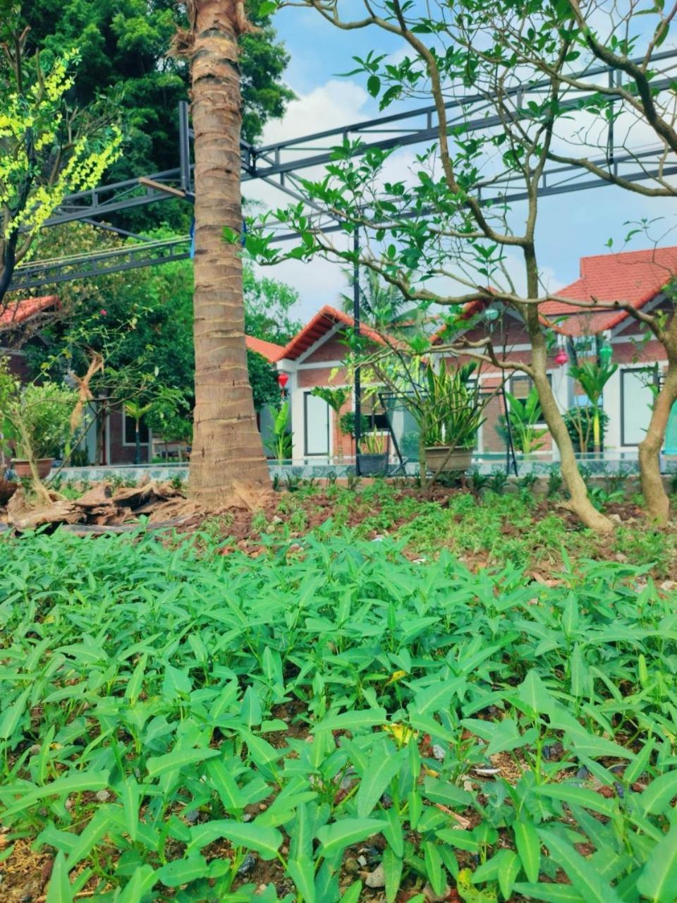 Trang An Natural Mountainside Homestay Ниньбинь Экстерьер фото