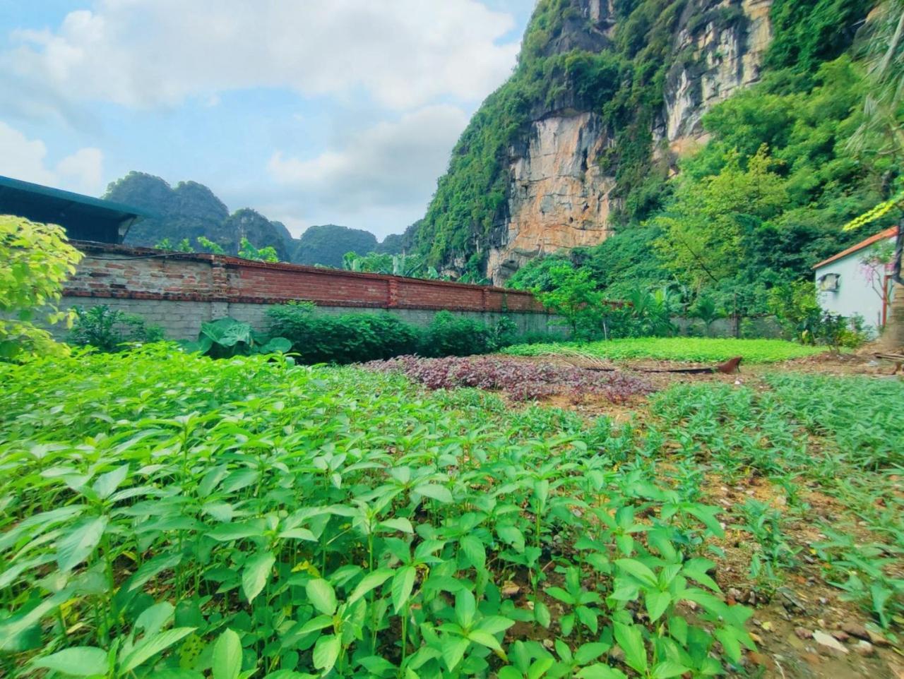 Trang An Natural Mountainside Homestay Ниньбинь Экстерьер фото