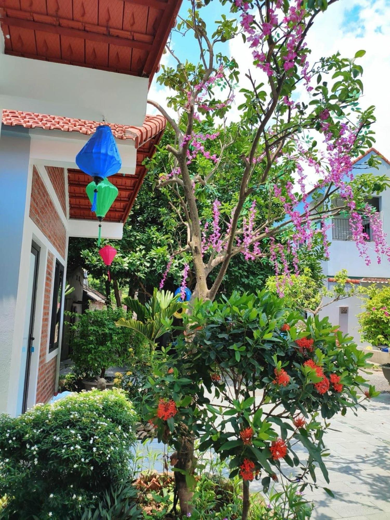 Trang An Natural Mountainside Homestay Ниньбинь Экстерьер фото